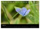 Thumbnail-10