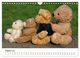 Thumbnail-13