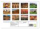 Thumbnail-9