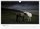 Thumbnail-14