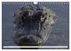 Thumbnail-14