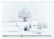 Thumbnail-14