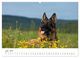 Thumbnail-12