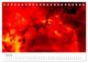 Thumbnail-12