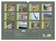 Thumbnail-11