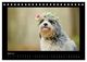 Thumbnail-13