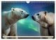 Thumbnail-14