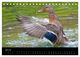 Thumbnail-12