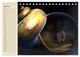 Thumbnail-9