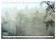 Thumbnail-13