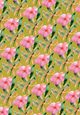 Thumbnail-7