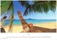 Thumbnail-9