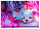 Thumbnail-13
