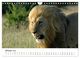 Thumbnail-12