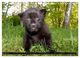 Thumbnail-9