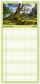 Thumbnail-14