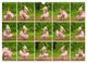 Thumbnail-9