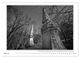 Thumbnail-8