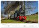 Thumbnail-11