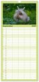Thumbnail-14