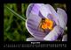 Thumbnail-12