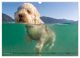 Thumbnail-14