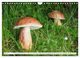 Thumbnail-8