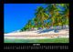 Thumbnail-11