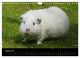 Thumbnail-13