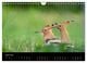 Thumbnail-9