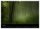 Thumbnail-11