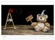 Thumbnail-7
