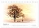Thumbnail-14