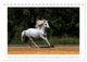 Thumbnail-14