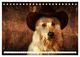 Thumbnail-8