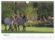 Thumbnail-13