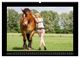 Thumbnail-11