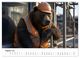 Thumbnail-14