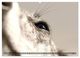 Thumbnail-12