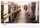 Thumbnail-13