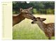 Thumbnail-11
