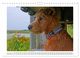 Thumbnail-14