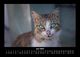 Thumbnail-10