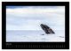 Thumbnail-12