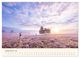 Thumbnail-14