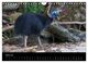 Thumbnail-9