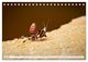 Thumbnail-12