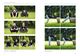 Thumbnail-11
