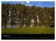 Thumbnail-13
