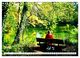 Thumbnail-11